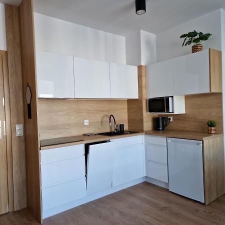 Apartament Turkusowy W Slonecznej Dolinie Ястшембя-Гура Экстерьер фото